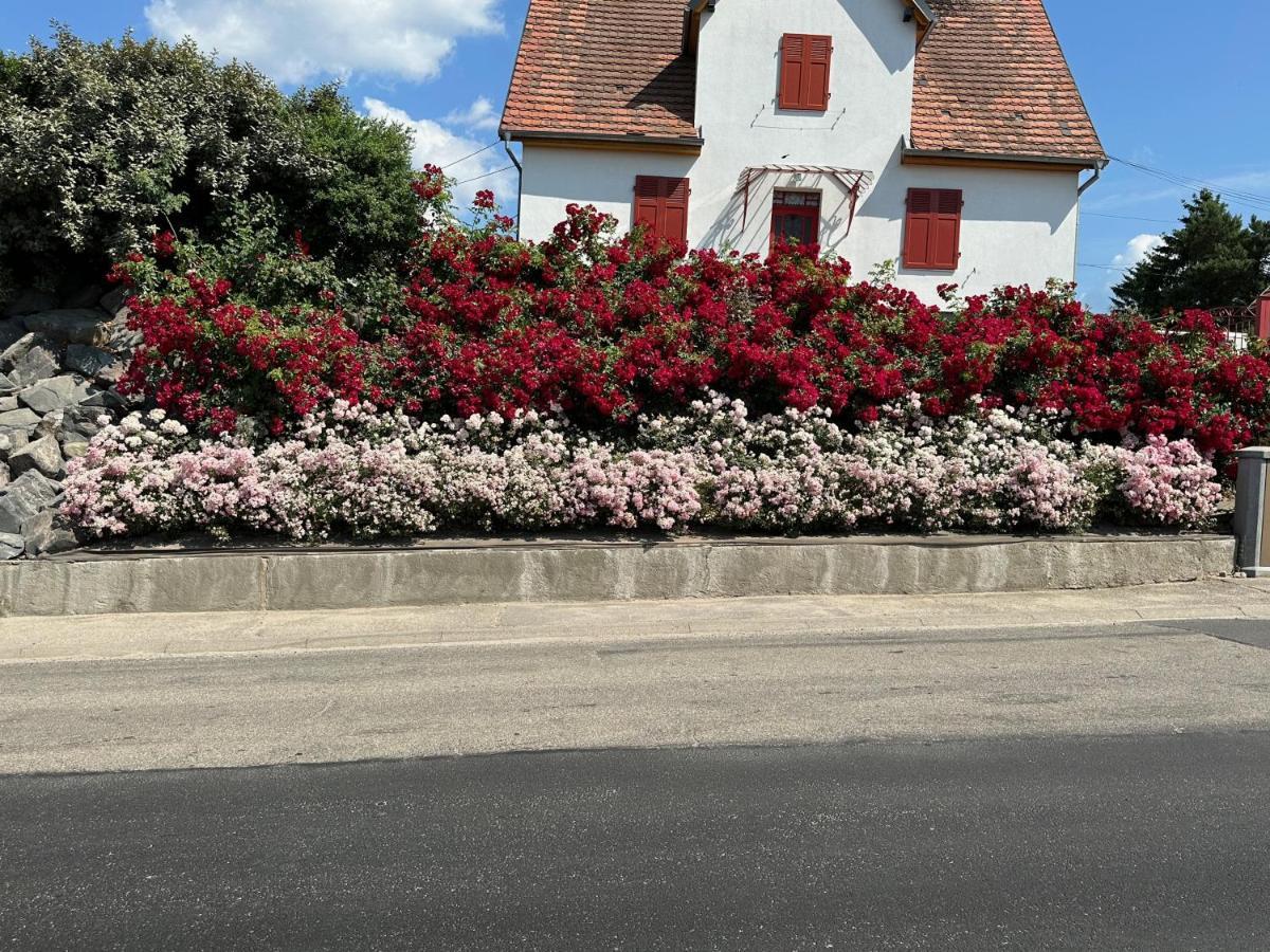 Au Parfum Des Roses Apartment Gunstett Exterior photo